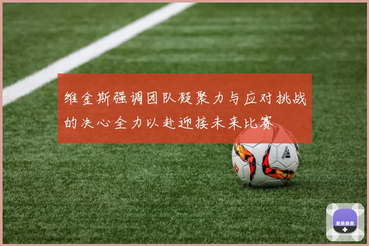 维金斯强调团队凝聚力与应对挑战的决心全力以赴迎接未来比赛