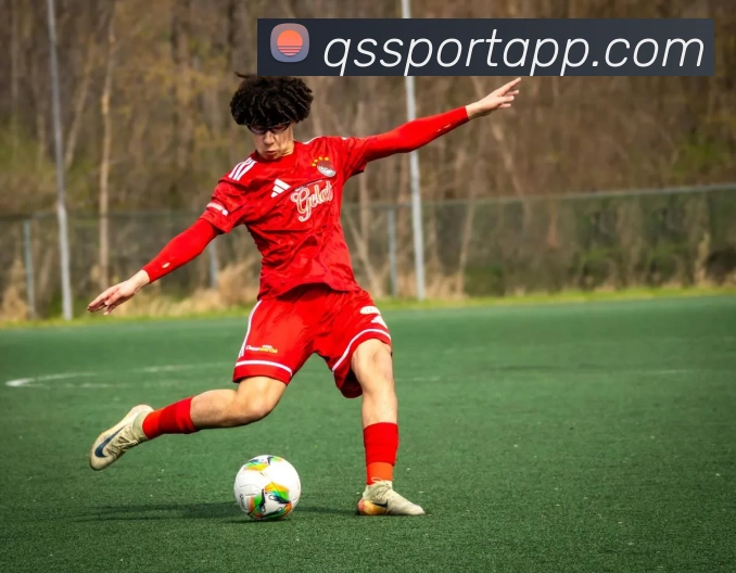 球速体育APP平台生态图